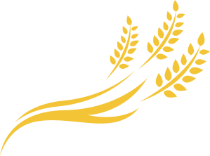 Wheat Img