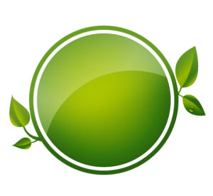 Green Blank Button