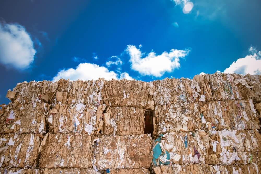 Recycling Img2